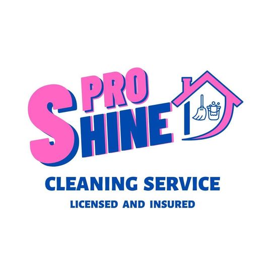 Pro Shine Cleaning Service